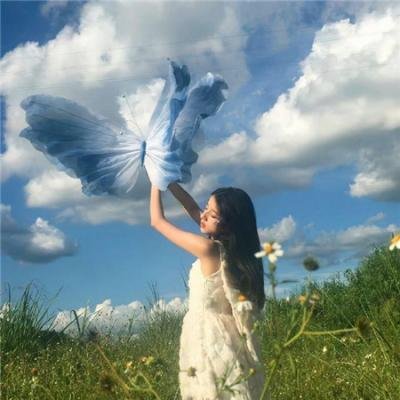 一条叫王子的狗
