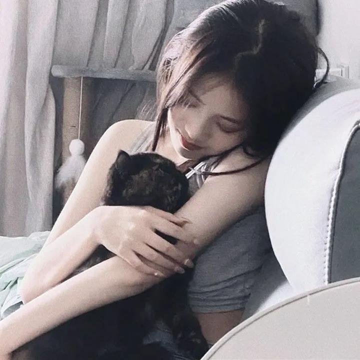 鬣狗之城